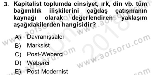 Toplumsal Tabakalaşma ve Eşitsizlik Dersi 2017 - 2018 Yılı 3 Ders Sınav Soruları 3. Soru
