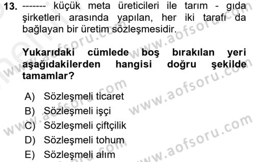 Toplumsal Tabakalaşma ve Eşitsizlik Dersi 2017 - 2018 Yılı (Vize) Ara Sınav Soruları 13. Soru