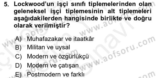 Toplumsal Tabakalaşma ve Eşitsizlik Dersi 2017 - 2018 Yılı (Vize) Ara Sınav Soruları 5. Soru
