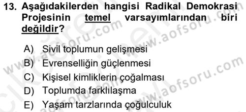 Toplumsal Tabakalaşma ve Eşitsizlik Dersi 2017 - 2018 Yılı (Final) Dönem Sonu Sınav Soruları 13. Soru