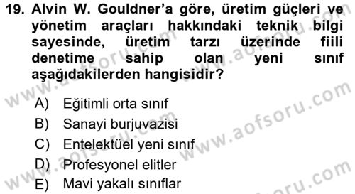 Toplumsal Tabakalaşma ve Eşitsizlik Dersi 2017 - 2018 Yılı (Final) Dönem Sonu Sınav Soruları 19. Soru