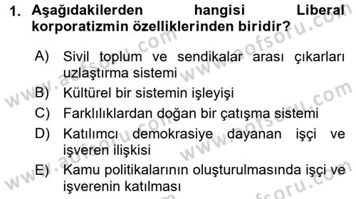 Toplumsal Tabakalaşma ve Eşitsizlik Dersi 2018 - 2019 Yılı (Vize) Ara Sınav Soruları 1. Soru