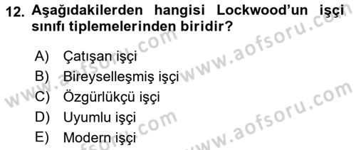 Toplumsal Tabakalaşma ve Eşitsizlik Dersi 2018 - 2019 Yılı (Vize) Ara Sınav Soruları 12. Soru