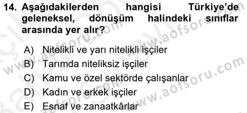 Toplumsal Tabakalaşma ve Eşitsizlik Dersi 2018 - 2019 Yılı (Final) Dönem Sonu Sınav Soruları 14. Soru