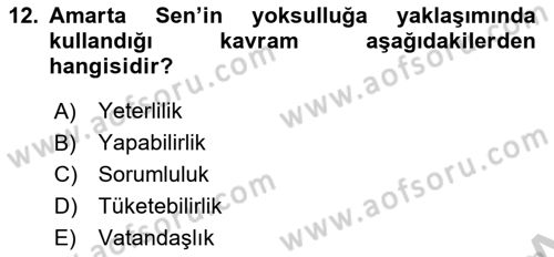 Toplumsal Tabakalaşma ve Eşitsizlik Dersi 2018 - 2019 Yılı Yaz Okulu Sınav Soruları 12. Soru