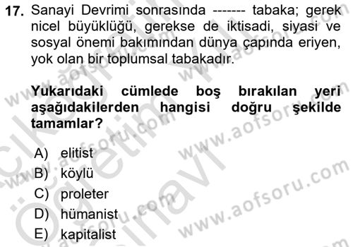 Toplumsal Tabakalaşma ve Eşitsizlik Dersi 2020 - 2021 Yılı Yaz Okulu Sınav Soruları 17. Soru