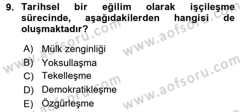 Toplumsal Tabakalaşma ve Eşitsizlik Dersi 2020 - 2021 Yılı Yaz Okulu Sınav Soruları 9. Soru