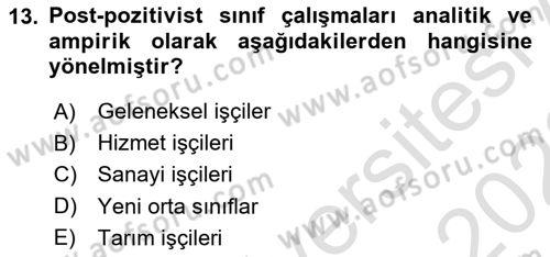 Toplumsal Tabakalaşma ve Eşitsizlik Dersi 2021 - 2022 Yılı (Vize) Ara Sınav Soruları 13. Soru