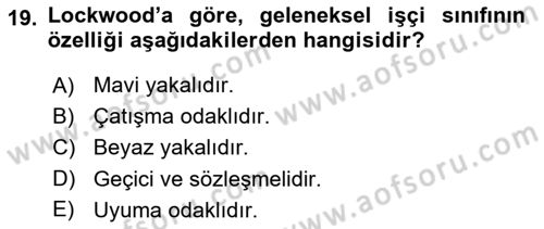 Toplumsal Tabakalaşma ve Eşitsizlik Dersi 2021 - 2022 Yılı (Vize) Ara Sınav Soruları 19. Soru