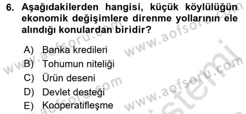 Toplumsal Tabakalaşma ve Eşitsizlik Dersi 2021 - 2022 Yılı (Vize) Ara Sınav Soruları 6. Soru