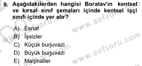 Toplumsal Tabakalaşma ve Eşitsizlik Dersi 2021 - 2022 Yılı (Final) Dönem Sonu Sınav Soruları 9. Soru