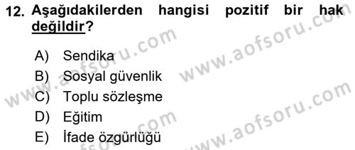 Toplumsal Tabakalaşma ve Eşitsizlik Dersi 2021 - 2022 Yılı Yaz Okulu Sınav Soruları 12. Soru