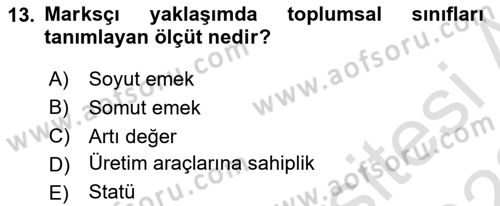 Toplumsal Tabakalaşma ve Eşitsizlik Dersi 2021 - 2022 Yılı Yaz Okulu Sınav Soruları 13. Soru