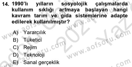 Toplumsal Tabakalaşma ve Eşitsizlik Dersi 2021 - 2022 Yılı Yaz Okulu Sınav Soruları 14. Soru