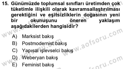 Toplumsal Tabakalaşma ve Eşitsizlik Dersi 2021 - 2022 Yılı Yaz Okulu Sınav Soruları 15. Soru