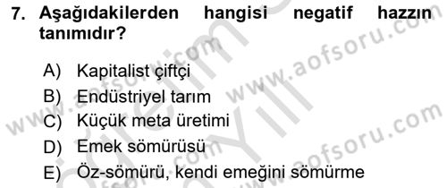 Toplumsal Tabakalaşma ve Eşitsizlik Dersi 2021 - 2022 Yılı Yaz Okulu Sınav Soruları 7. Soru