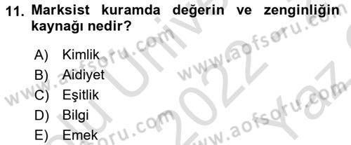 Toplumsal Tabakalaşma ve Eşitsizlik Dersi 2022 - 2023 Yılı Yaz Okulu Sınav Soruları 11. Soru