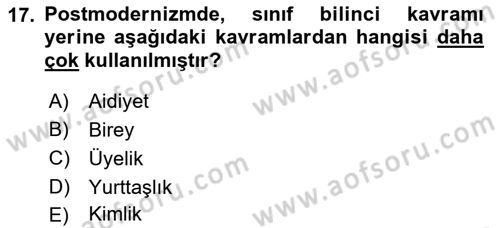 Toplumsal Tabakalaşma ve Eşitsizlik Dersi 2022 - 2023 Yılı Yaz Okulu Sınav Soruları 17. Soru