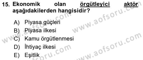 Toplumsal Tabakalaşma ve Eşitsizlik Dersi 2023 - 2024 Yılı (Vize) Ara Sınav Soruları 15. Soru