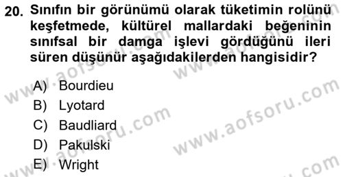 Toplumsal Tabakalaşma ve Eşitsizlik Dersi 2023 - 2024 Yılı (Final) Dönem Sonu Sınav Soruları 20. Soru