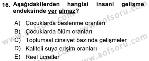 Toplumsal Tabakalaşma ve Eşitsizlik Dersi 2023 - 2024 Yılı Yaz Okulu Sınav Soruları 16. Soru