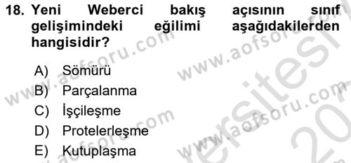 Toplumsal Tabakalaşma ve Eşitsizlik Dersi 2023 - 2024 Yılı Yaz Okulu Sınav Soruları 18. Soru