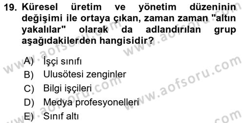 Toplumsal Tabakalaşma ve Eşitsizlik Dersi 2023 - 2024 Yılı Yaz Okulu Sınav Soruları 19. Soru