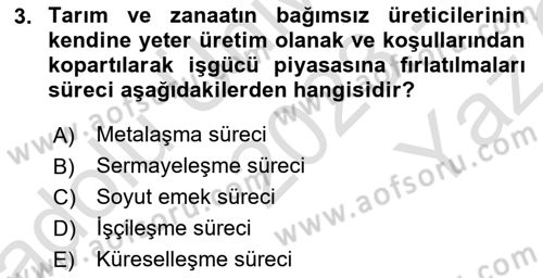 Toplumsal Tabakalaşma ve Eşitsizlik Dersi 2023 - 2024 Yılı Yaz Okulu Sınav Soruları 3. Soru