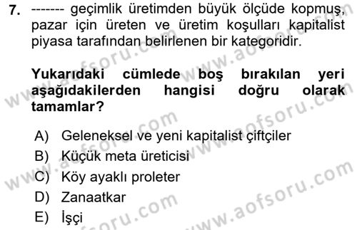 Toplumsal Tabakalaşma ve Eşitsizlik Dersi 2023 - 2024 Yılı Yaz Okulu Sınav Soruları 7. Soru