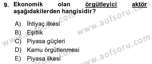 Toplumsal Tabakalaşma ve Eşitsizlik Dersi 2023 - 2024 Yılı Yaz Okulu Sınav Soruları 9. Soru