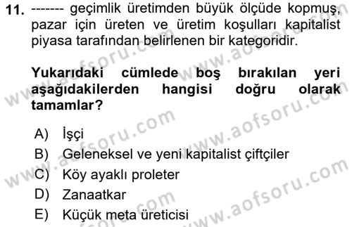 Toplumsal Tabakalaşma ve Eşitsizlik Dersi 2024 - 2025 Yılı (Vize) Ara Sınav Soruları 11. Soru