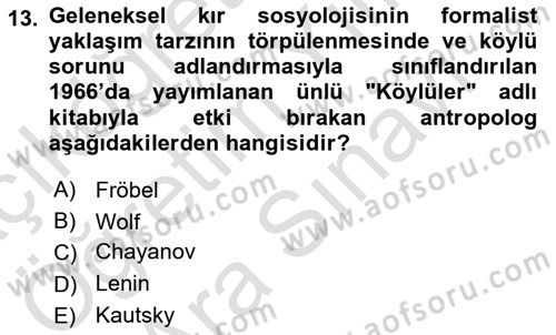 Toplumsal Tabakalaşma ve Eşitsizlik Dersi 2024 - 2025 Yılı (Vize) Ara Sınav Soruları 13. Soru