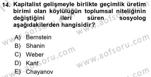 Toplumsal Tabakalaşma ve Eşitsizlik Dersi 2024 - 2025 Yılı (Vize) Ara Sınav Soruları 14. Soru
