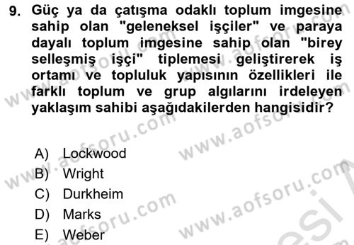 Toplumsal Tabakalaşma ve Eşitsizlik Dersi 2024 - 2025 Yılı (Vize) Ara Sınav Soruları 9. Soru