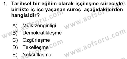 Toplumsal Tabakalaşma ve Eşitsizlik Dersi 2024 - 2025 Yılı (Final) Dönem Sonu Sınav Soruları 1. Soru