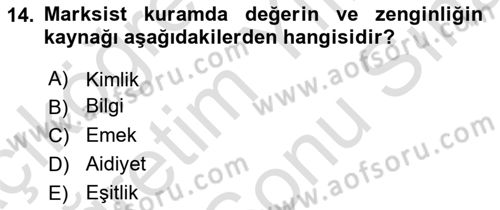 Toplumsal Tabakalaşma ve Eşitsizlik Dersi 2024 - 2025 Yılı (Final) Dönem Sonu Sınav Soruları 14. Soru