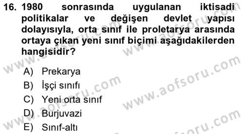 Toplumsal Tabakalaşma ve Eşitsizlik Dersi 2024 - 2025 Yılı (Final) Dönem Sonu Sınav Soruları 16. Soru
