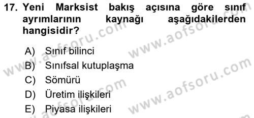 Toplumsal Tabakalaşma ve Eşitsizlik Dersi 2024 - 2025 Yılı (Final) Dönem Sonu Sınav Soruları 17. Soru