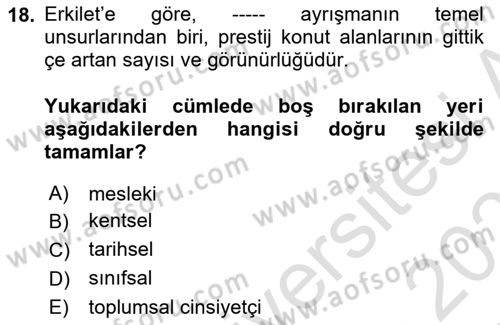 Toplumsal Tabakalaşma ve Eşitsizlik Dersi 2024 - 2025 Yılı (Final) Dönem Sonu Sınav Soruları 18. Soru