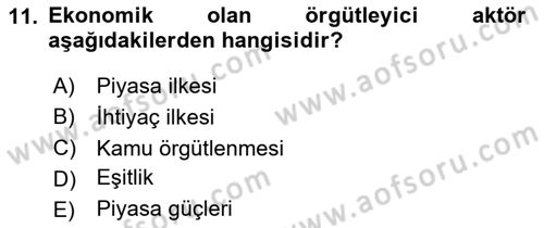 Toplumsal Tabakalaşma ve Eşitsizlik Dersi 2025 - 2026 Yılı (Vize) Ara Sınav Soruları 11. Soru