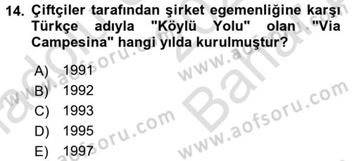 Toplumsal Tabakalaşma ve Eşitsizlik Dersi 2025 - 2026 Yılı (Vize) Ara Sınav Soruları 14. Soru