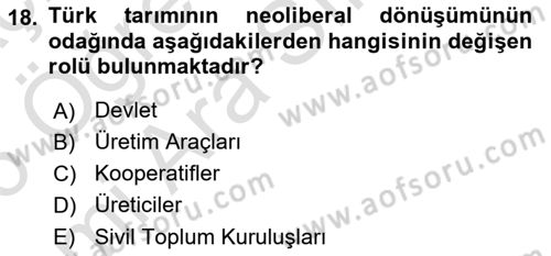 Toplumsal Tabakalaşma ve Eşitsizlik Dersi 2025 - 2026 Yılı (Vize) Ara Sınav Soruları 18. Soru