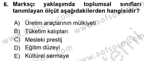 Toplumsal Tabakalaşma ve Eşitsizlik Dersi 2025 - 2026 Yılı (Vize) Ara Sınav Soruları 6. Soru