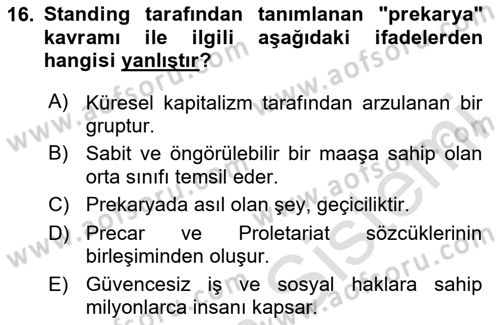 Toplumsal Tabakalaşma ve Eşitsizlik Dersi 2025 - 2026 Yılı (Final) Dönem Sonu Sınav Soruları 16. Soru