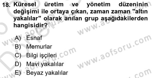 Toplumsal Tabakalaşma ve Eşitsizlik Dersi 2025 - 2026 Yılı (Final) Dönem Sonu Sınav Soruları 18. Soru