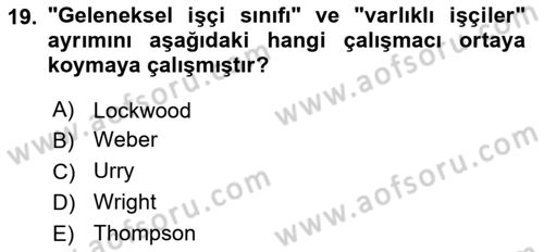 Toplumsal Tabakalaşma ve Eşitsizlik Dersi 2025 - 2026 Yılı (Final) Dönem Sonu Sınav Soruları 19. Soru