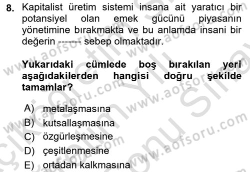 Toplumsal Tabakalaşma ve Eşitsizlik Dersi 2025 - 2026 Yılı (Final) Dönem Sonu Sınav Soruları 8. Soru