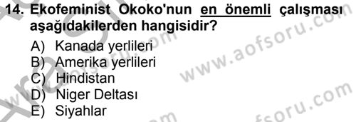Aile Sosyolojisi Dersi Ara Sınavı Deneme Sınav Soruları 14. Soru