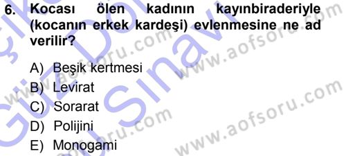 Aile Sosyolojisi Dersi 2012 - 2013 Yılı (Final) Dönem Sonu Sınav Soruları 6. Soru