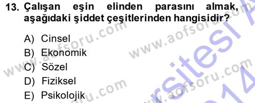 Aile Sosyolojisi Dersi 2013 - 2014 Yılı (Final) Dönem Sonu Sınav Soruları 13. Soru